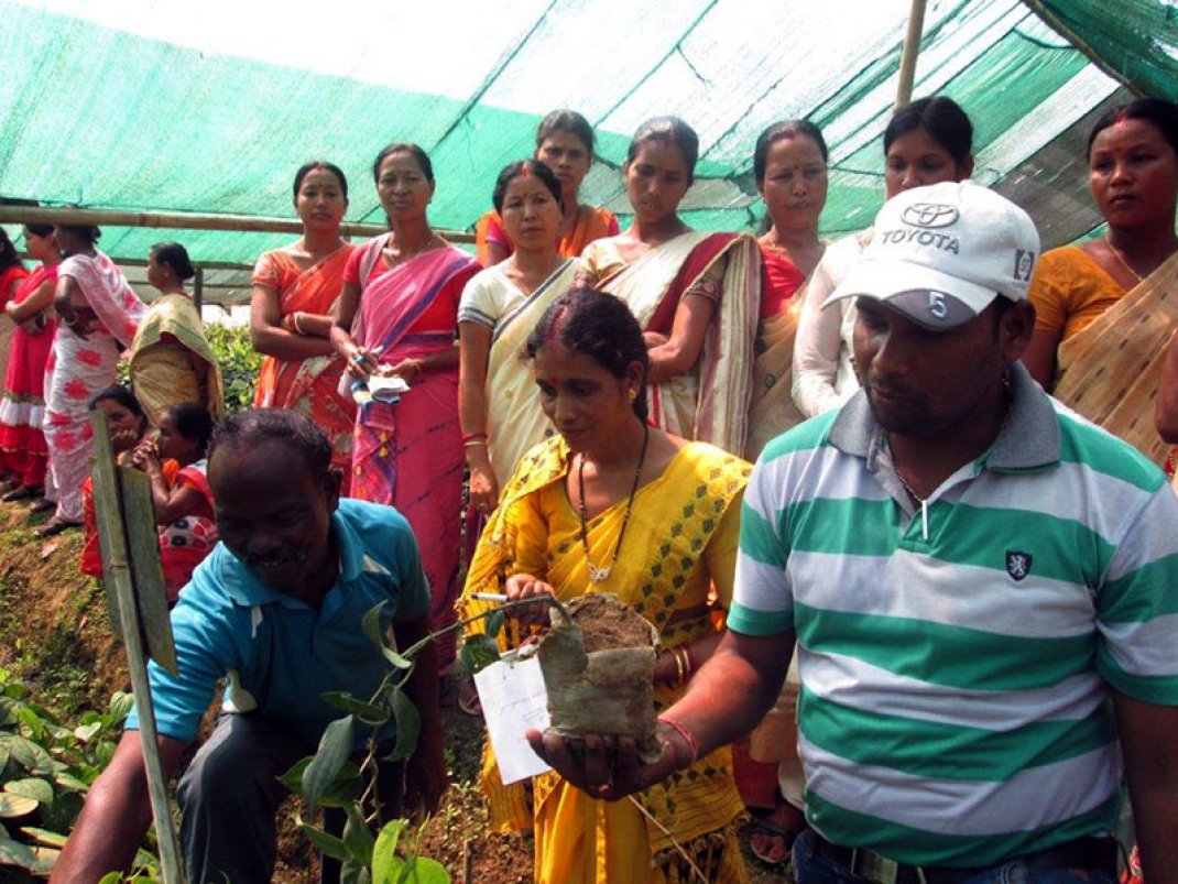 Tata Volunteering Week – Cultivation Training for 20 Women Farmers