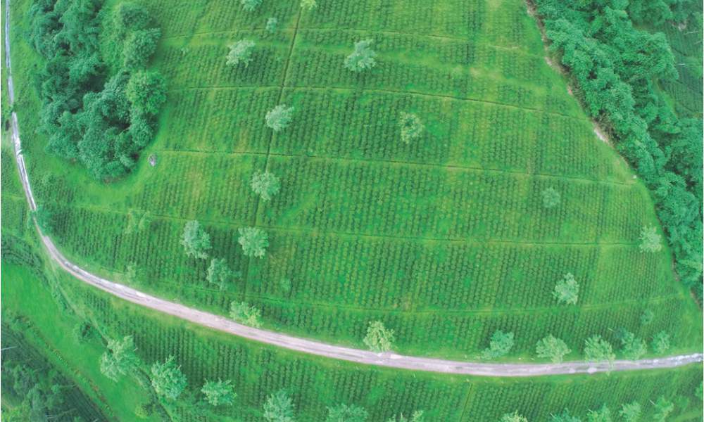 Hathikuli - India’s Largest Integrated Organic Farm