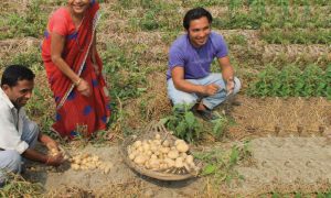 Read more about the article Lab to Land Project
