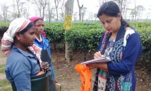 Read more about the article Fungal Free Frock (3 F) Project