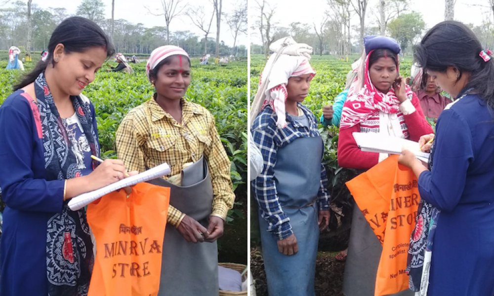 Read more about the article The Fungal Free Frocks (3F) Project