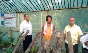Read more about the article Case Study: Dimbeshwar Rabha
