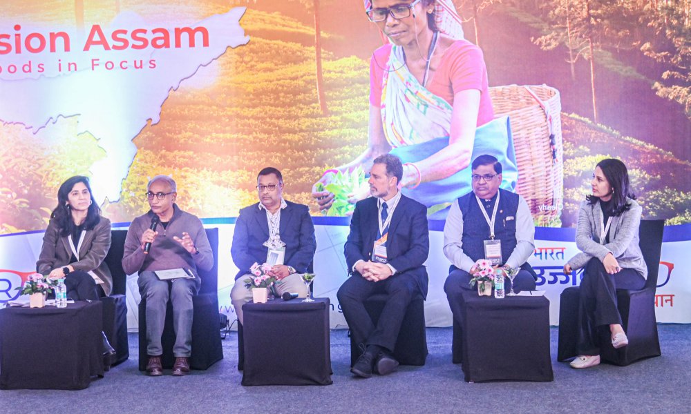 Read more about the article Clear Vision Assam: Panel Discussion on Improving Livelihood Productivity through Collaboration for Clear Vision