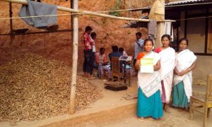Read more about the article Small Farm Integration & Sustainable Agriculture Project