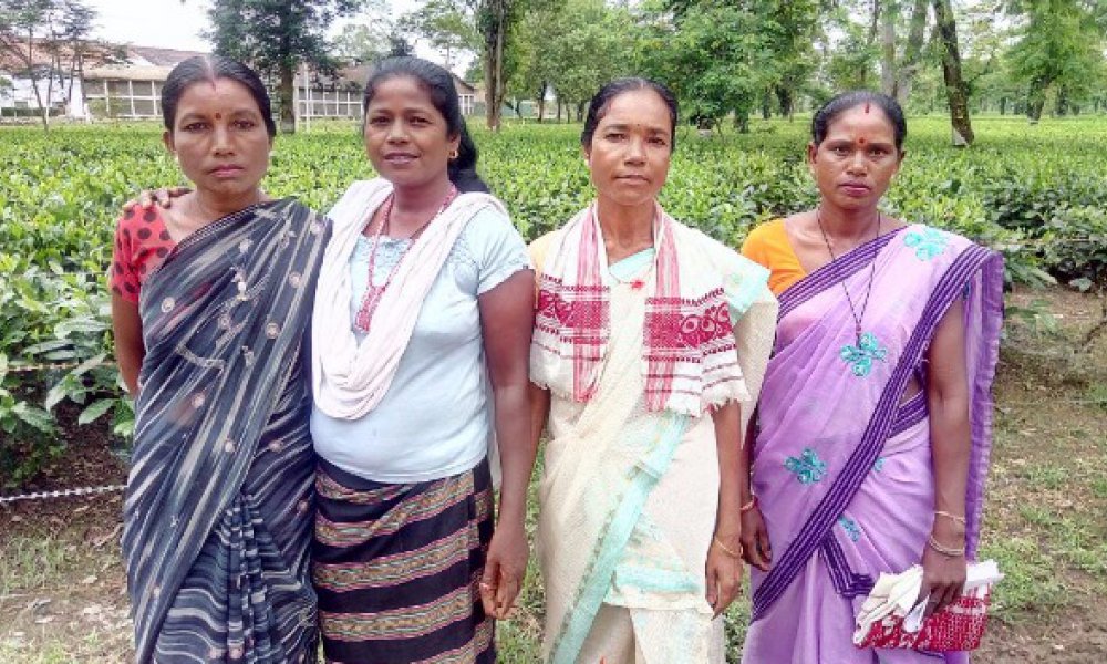 Read more about the article Borhat Supervisors