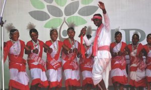 Read more about the article Cultural Events (Sirish 2015)