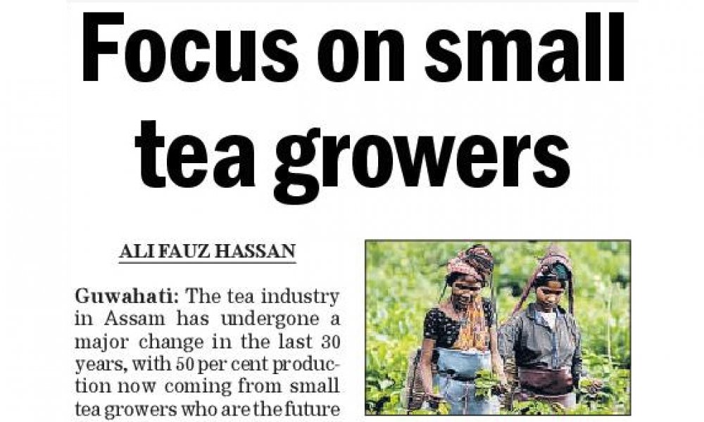 Read more about the article Focus on small tea growers